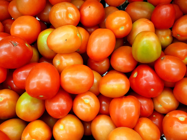 Tomaten, rot