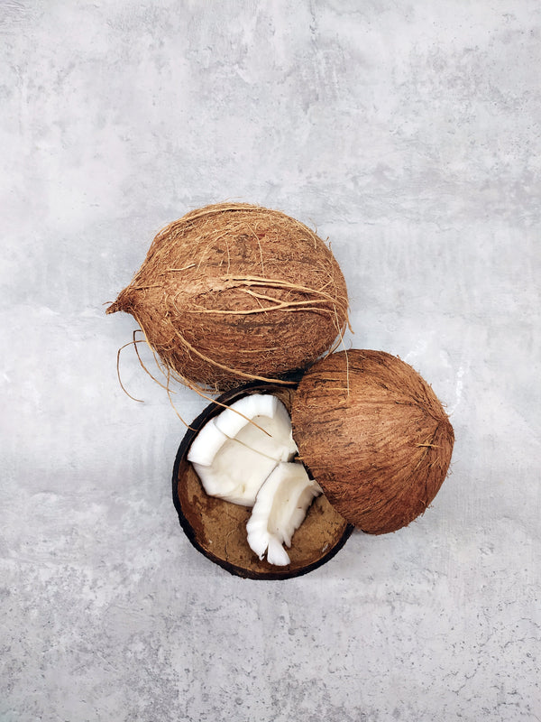 Das kleine Naturkosmetik-Lexikon: #7 Kokosöl
