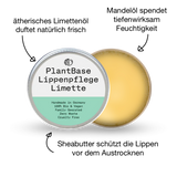 Lippenpflege im Tiegel Limette 10g
