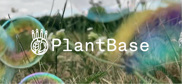 Vier Jahre - WOW!  – PlantBase Birthday SALEbration!