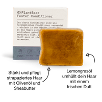 Fester Conditioner 60g