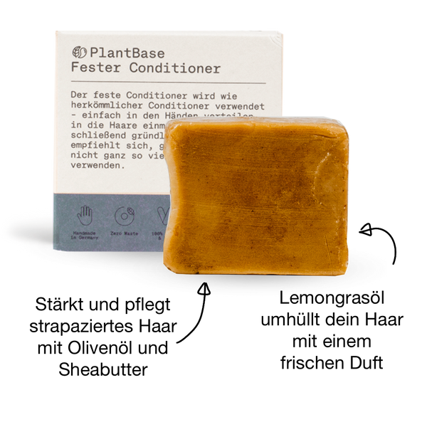 Fester Conditioner 60g